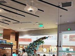 -雀蓝川菜(滨湖万象汇店)