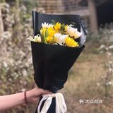 便不算离开，春草绿，清明来，清明节是踏青好时节