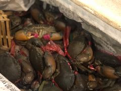-瑞丽活螃蟹(芒市店)
