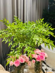 -花隐·美芙炫海菲秀皮肤管理中心