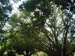 -北海市海滨公园