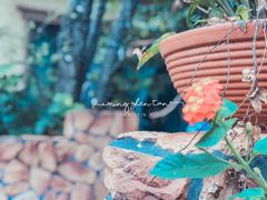 -晶泽丽琅·鱼鲜川菜(川师店)