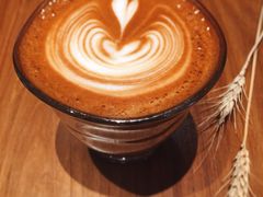 -Punchline Coffee&Roaster(同济大学店)