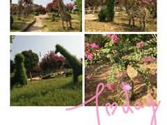 -武汉紫薇都市田园