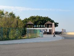 -大湾区中央湿地公园