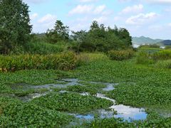 -东钱湖旅游度假区