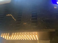 -桐庐开元名都大酒店