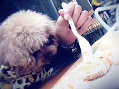 -81BAKERY(大学路店)