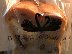 -BLACKSWAN黑天鹅(环球店)