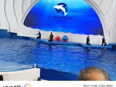 -广州海洋馆