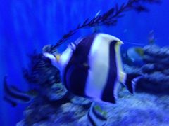 -石林冰雪海洋世界