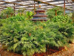 -南宫五洲植物乐园