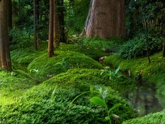 -成都市活水公园