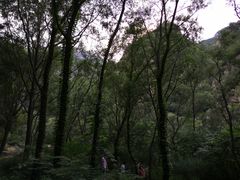 -碓臼峪自然风景区