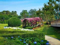 -洪湖湿地生态园