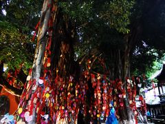 -白帝城·瞿塘峡景区