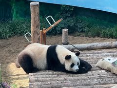 -大连森林动物园