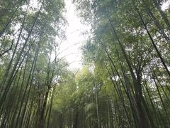 -天目湖涵田半山温泉