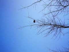 -白塘生态植物园