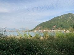 -南丫岛