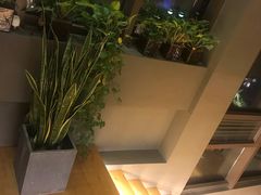 -暹罗酒肆泰餐厅酒吧