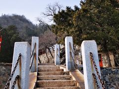 -北京鹫峰国家森林公园