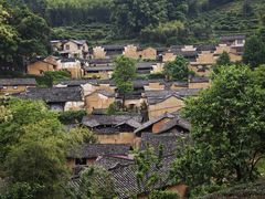 -杨家堂村