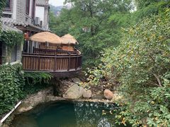 -老张烤羊(王哥庄店)