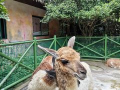 -杭州野生动物世界