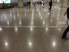 -龙阳路磁悬浮列车总站-停车场