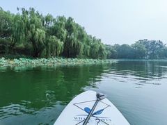 -WhaleSports户外水上运动俱乐部(朝阳公园店)