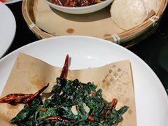 -三强鸽子(中原路店)