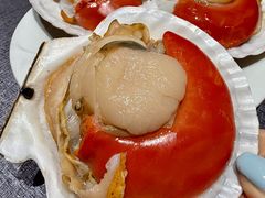 -连鹭海鲜·海肠捞饭·海胆饭(星海店)