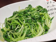 鸡毛菜-集贤门·徽菜(南山店)