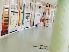 -杭州龙井幼儿园