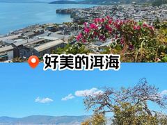 -大理洱海