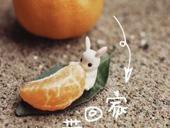 -南宁良凤江国家森林公园