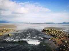 -深圳湾公园(南山区)