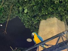 -迪拜水族馆及水下动物园