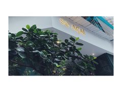 -So Acai(天河店)