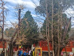 -承恩寺