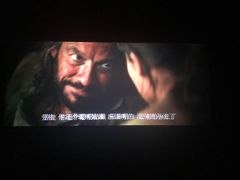 -幸福蓝海国际影城(河西店)