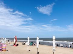 -巧克力渔家.小船海鲜家常菜(万平口店)