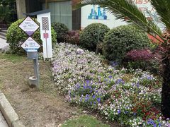 -七宝老街-闵行市民文化广场