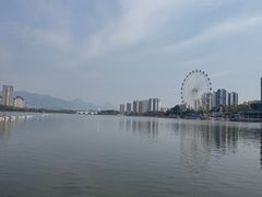 -飞来湖湿地公园