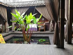 -都氏家DUSJOY(翡翠城店)