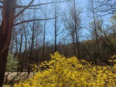 -白水寺森林公园