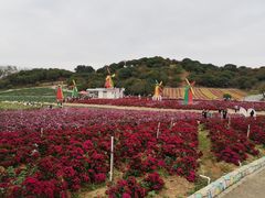 -松山湖梦幻百花洲