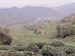-十里琅珰
