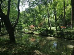 -汇龙潭